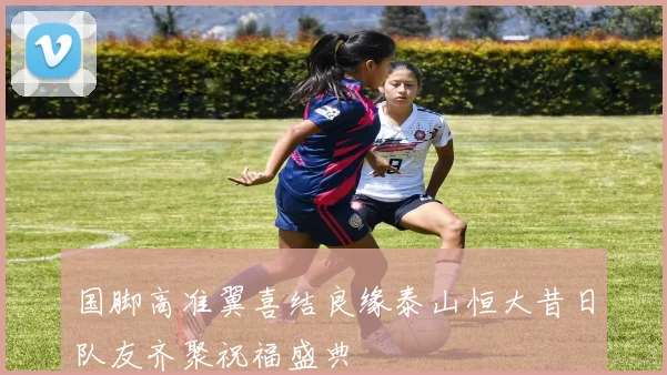 国脚高准翼喜结良缘泰山恒大昔日队友齐聚祝福盛典